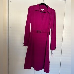 Calvin Klein Fuchsia Long Sleeve Dress